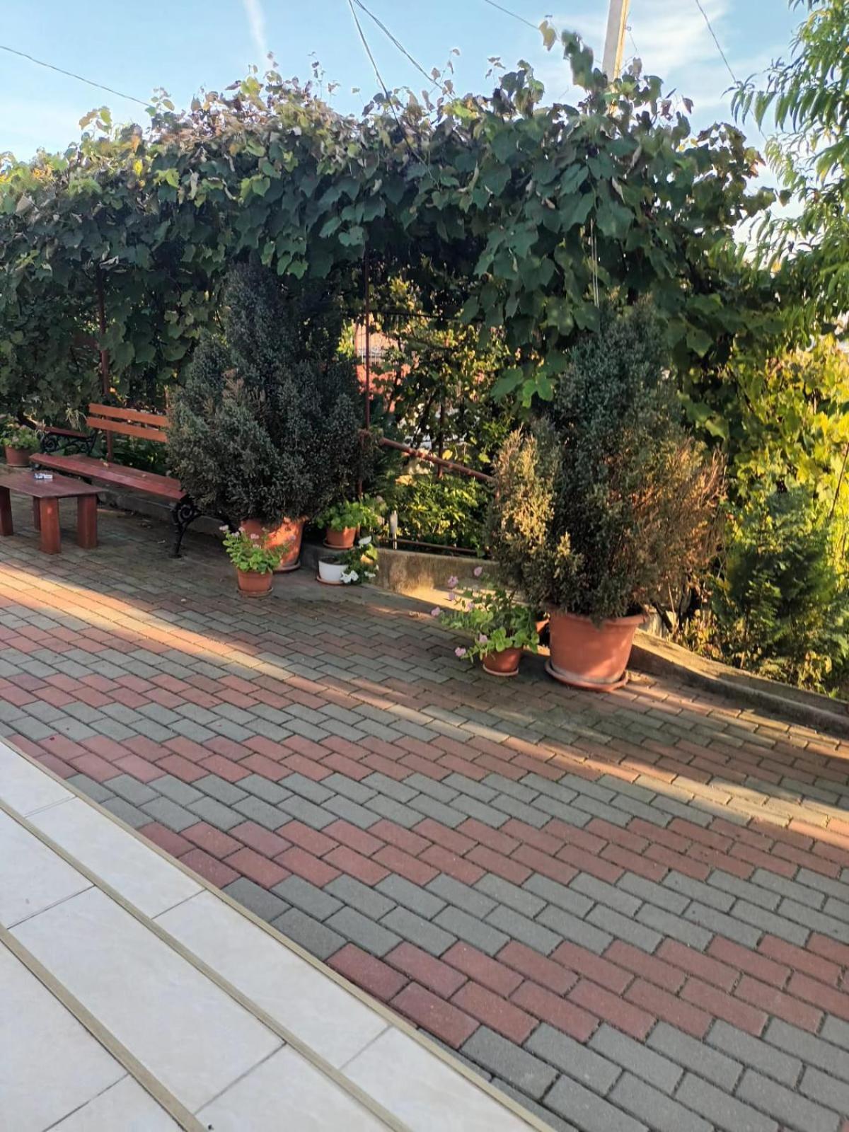 Casa Matei Villa Turda Buitenkant foto