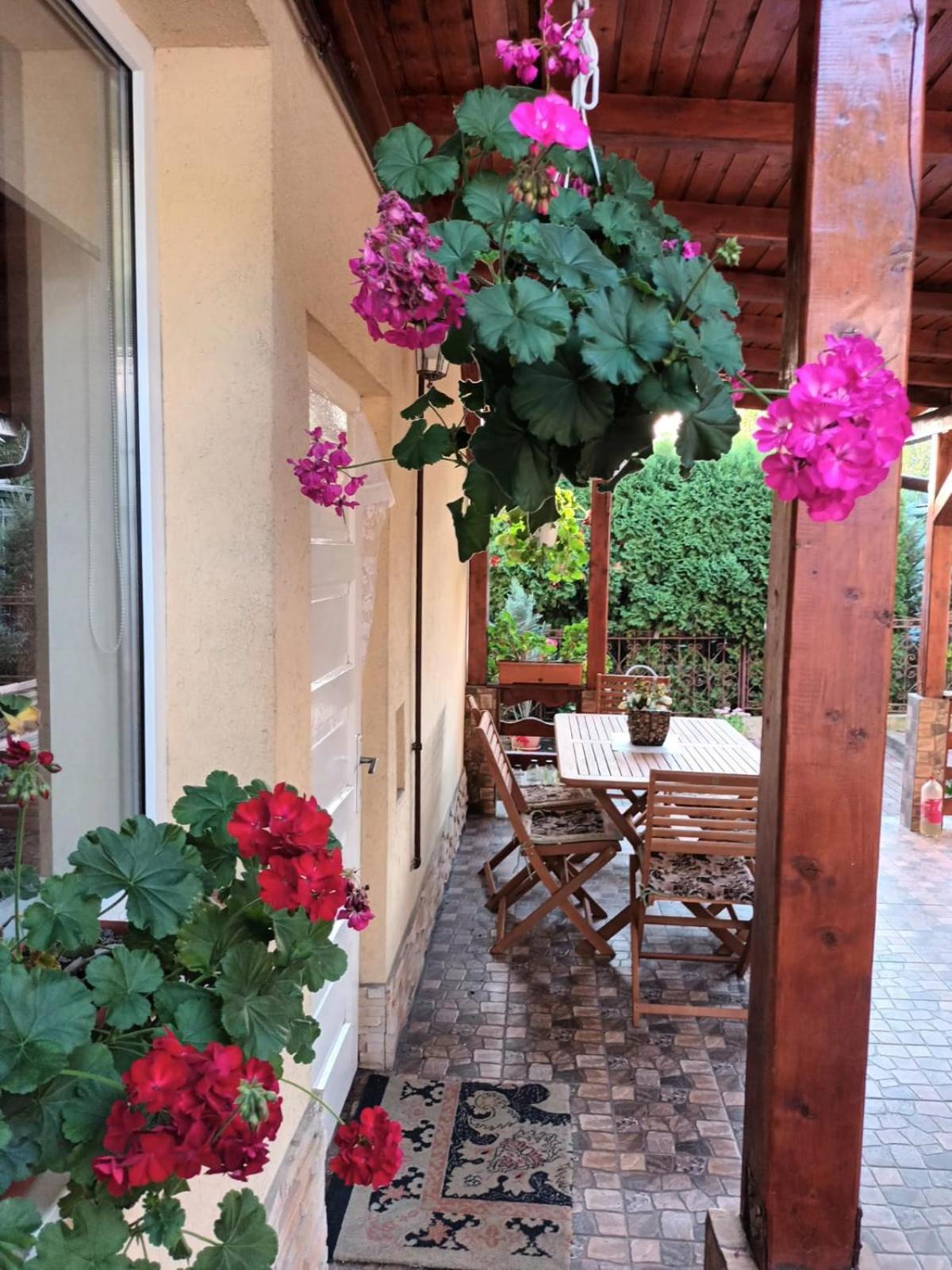 Casa Matei Villa Turda Buitenkant foto